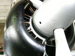 20110816_DSCN1779.jpg