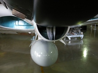 20110816_DSCN1780.jpg