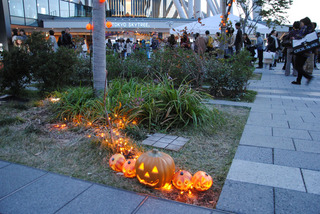 20121027-10.jpg