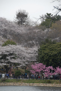 20130323_d200-03.jpg