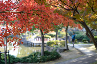 20131124_DSC_1260m.jpg
