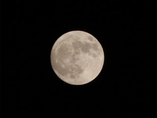 Enlarge_20120505_105mm_F8_250.jpg