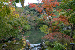 blog_kyoto_20111107-01.jpg