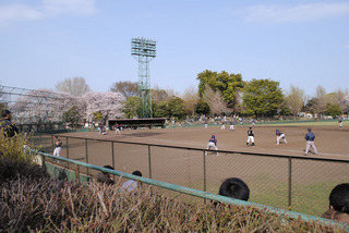 sakura20110410-02.jpg